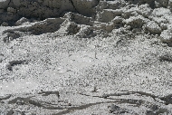 Yellowstone_thermal6.jpg